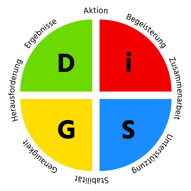 2D-Grafik DiSG Modell